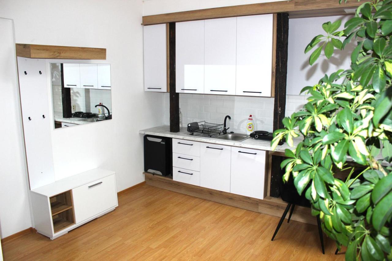 Krásny priestranný slnečný apartmán v centre mesta Trenčín Exterior foto